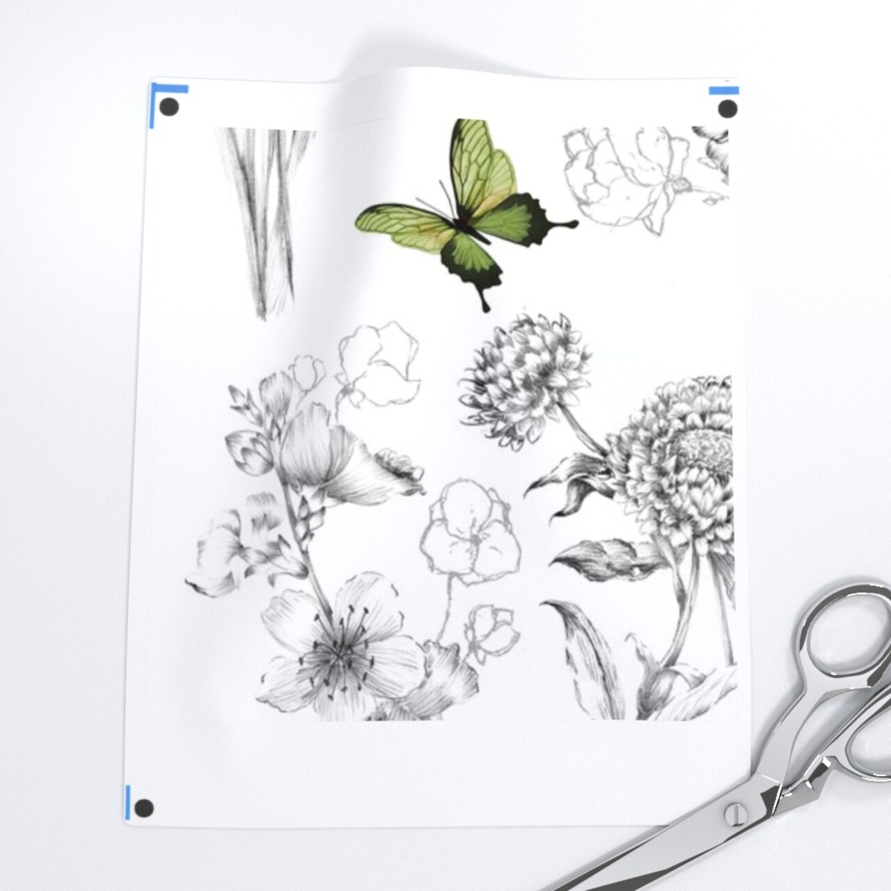 Butterflies Butterfly Sketch Black And White Botanical Custom Pre-pasted Wallpaper by Spoonflower Pre-Pasted Wallpaper 2FT Wide
